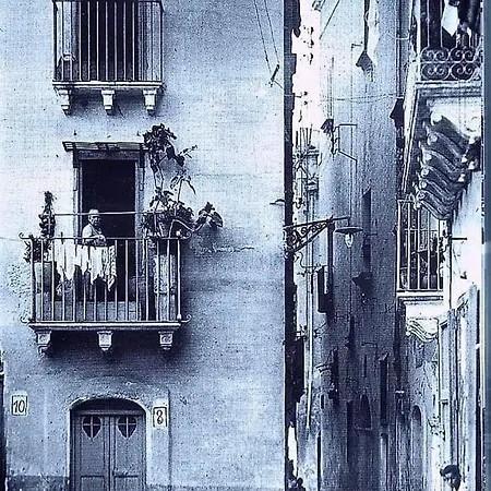 Belle Epoque *